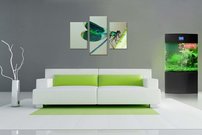 obraz na stenu vazka - 7