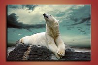 obraz na stenu biely medved - 1