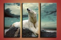 obraz na stenu biely medved - 2