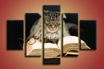 Mačka s knihou - ZR 0051