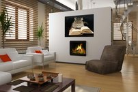 Mačka s knihou - ZR 0051