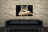 Mačka s knihou - ZR 0051