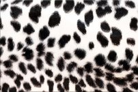 Tapeta ZR 0053 - Škvrny