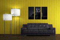 Čierna mačka - ZR 0055