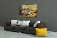 Biele kone - ZR 0064