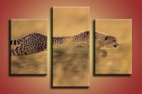 obraz na stenu gepard  - 3