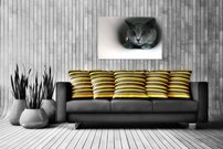 obraz na stenu kocur - 2