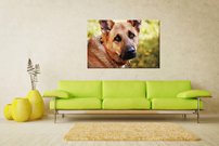 obraz na stenu pes - 3