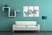 Biele kone - ZR 0126