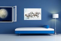 Biele kone - ZR 0126