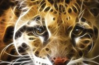 Tapeta Šelma - ZR 0138