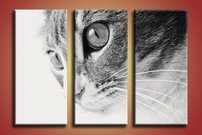 obraz na stenu macka - 2