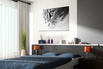 obraz na stenu macka - 4