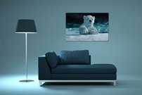 Ľadový medvedík - ZR 0148